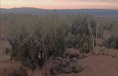 Llano House | Unplug & Reconnect: Desert Oasis Camper Retreat!