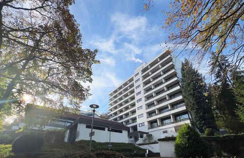 Arnsberg Hotel | Unwind In Forest Room With Pool Access And Pet Friendly Options