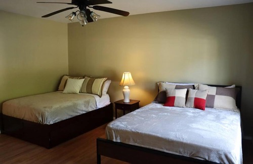 Springfield House | Updated 2 BR/2BA in family friendly neighborhood with extras