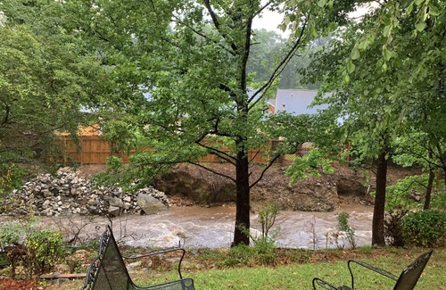 Northport House | Updated Home on Creek *3 King Beds* 4 mi to UA