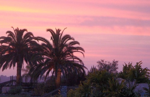 Lone Tree Estates Cottage | Upscale Cottage Close to Del Mar Beach