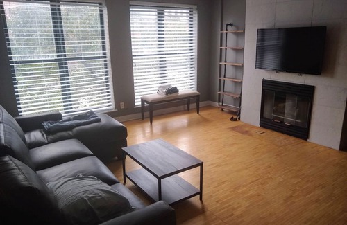 Downtown Syracuse House | Upscale Town House in Downtown Syracuse (Walk to Everything)