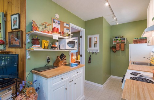 Black Mountain Apartment | Uptown Treehouse | Cozy Treetop Apartment in Downtown Black Mtn!