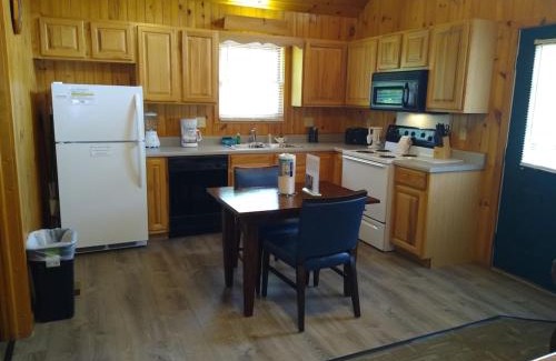 Gatlinburg Ski Chalet | Urban Escape - 1BR King Cabin