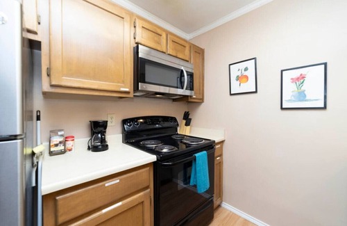Medical Center District Condo | Urban Oasis: In the Medical Center