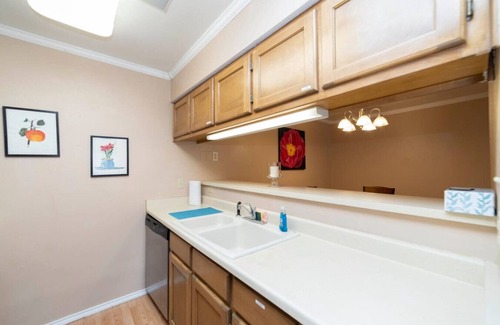 Medical Center District Condo | Urban Oasis: In the Medical Center