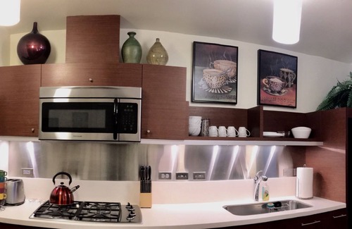 Corbett - Terwilliger - Lair Hill Condo | Urban sophistication - South Waterfront , Portland, OR