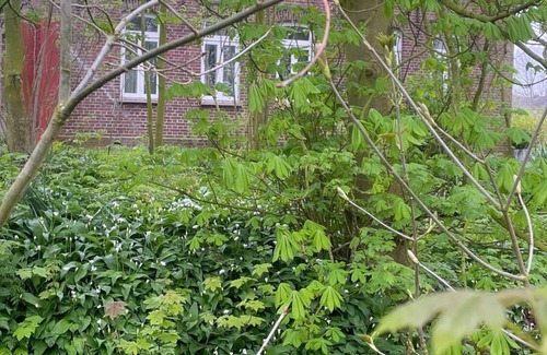 Wangerland Apartment | Urlaub für die Ganze Familie an der Nordsee! Zwischen Natur & See!