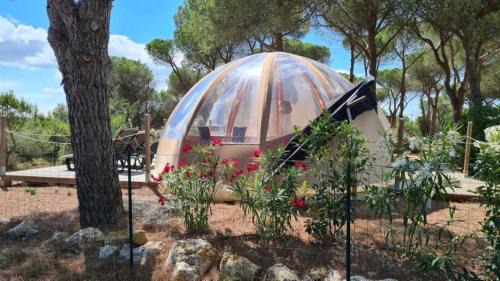 Bizanet Other | Ushuaïa Villages Camping Figurotta