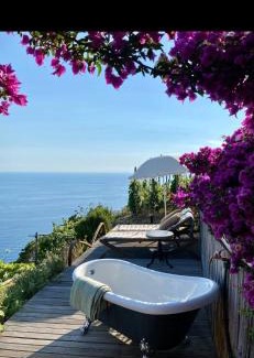 Riomaggiore Villa | UWA Refuge organic Vineyard 5terre UNESCO