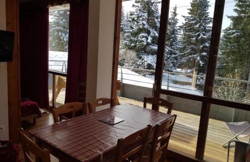 Chamrousse Apartment | V du bachat joubarbes C N 02 - 3P5