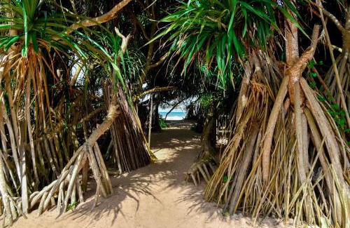 Kosgoda House | Vaaru Beach Villa