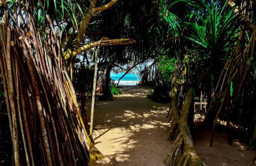 Kosgoda House | Vaaru Beach Villa