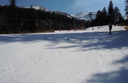 Laveissiere Apartment | Vacances au pied des Monts du Cantal