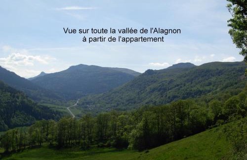 Laveissiere Apartment | Vacances au pied des Monts du Cantal