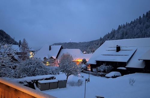 Menzenschwand-Hinterdorf Apartment | Vacation apartment/apartment for 9 guests with 110m² in St. Blasien - Menzenschwand (250158)