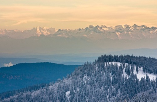 Feldberg Apartment | Vacation apartment/apartment for 5 guests with 62m² in Feldberg (Black Forest) (162881)