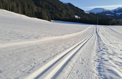 Wildschoenau Apartment | Vacation apartment/apartment for 5 guests with 51m² in Auffach Wildschönau (150255)
