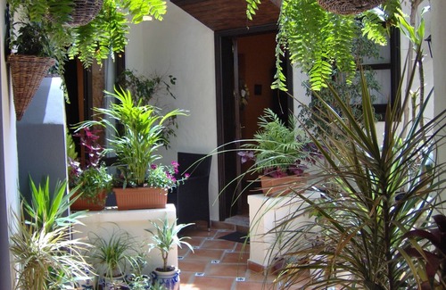 El Guincho Apartment | Vacation apartment/apartment for 2 guests with 40m² in Icod de los Vinos (120164)