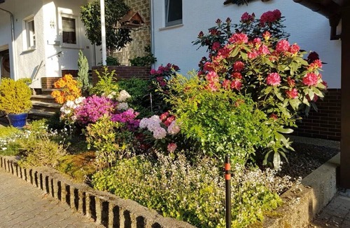 Neckarsteinach Apartment | Vacation apartment Panoramablick Neckarsteinach