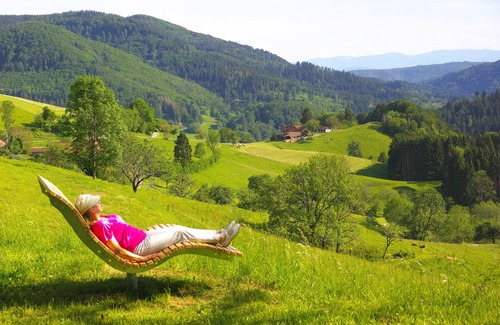 Menzenschwand-Hinterdorf Apartment | Vacation apartment/apartment for 2 guests with 30m² in Sankt Blasien (170171)