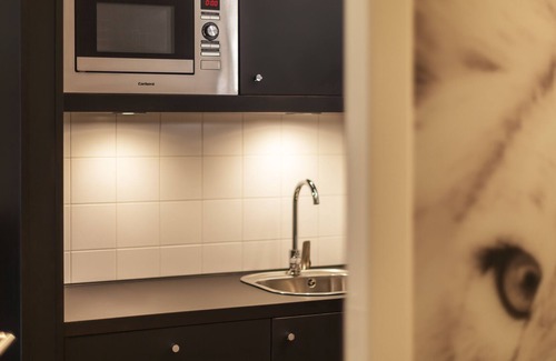 Mitte Apartment | Vacation apartment/apartment for 3 guests with 26m² in Nuremberg (158015)