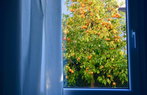 Morrona Apartment | Vacation apartment/apartment for 2 guests with 50m² in Morrona (119237)