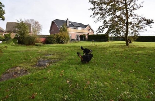 Dornumergrode Apartment | Vacation apartment/apartment for 2 guests with 60m² in Dornum (295419)