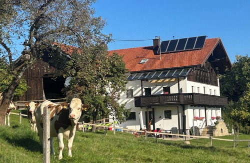 Surberg Apartment | Vacation apartment at Leitnerhof