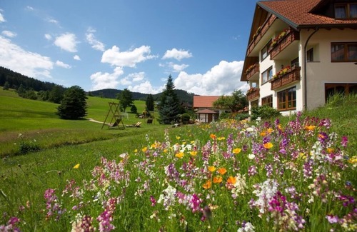 Tonbach Apartment | Vacation apartment type C 40, 45sqm, 1 living room/bedroom, max. 2 persons