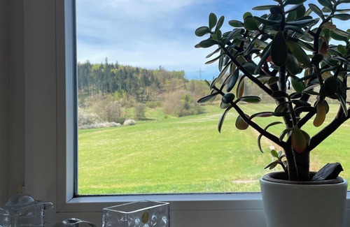 Pressig Apartment | Vacation apartment "Friedersdorfer Mühle" in an idyllic secluded location