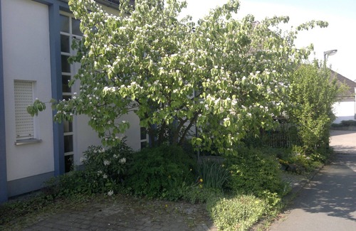 Velmede Apartment | Vacation apartment Green Break, 60sqm, 1 bedroom, max. 4 persons