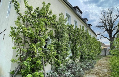 Furstlich Drehna Apartment | Vacation apartment Minkwitz in the nursery house in Fürstlich Drehna