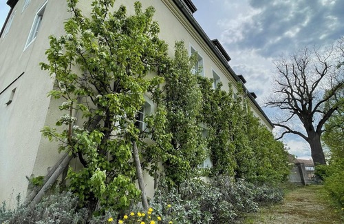 Furstlich Drehna Apartment | Vacation apartment Wätjen in the nursery house in Fürstlich Drehna