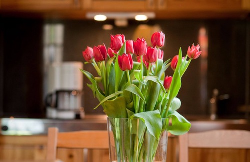 Lubbenau/Spreewald House | Vacation home for 4 guests with 30m² in Lübbenau/Spreewald (249648)