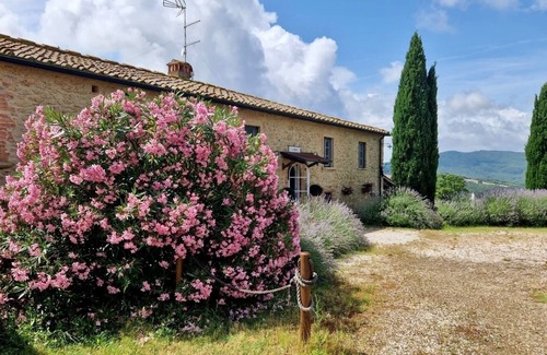 Pomarance House | Vacation home for 15 guests with 400m² in Pomarance (175641)