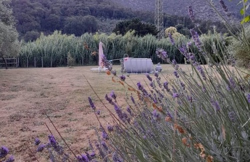 Santa Maria del Giudice House | Vacation home "I Cuculi" Lucca