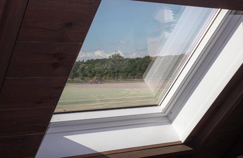 Wingene House | Vacation home Lammersdamhoeve: tranquility, space and nature. Dogs allowed!