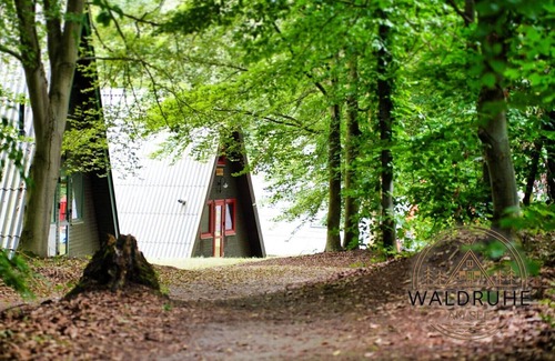 Bad Arolsen House | Vacation home Waldruhe 37 at the Twistesee