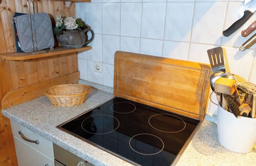 Bruinisse House | Vacation home with great garden in Bruinisse near Renesse private park