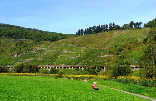 Punderich Apartment | Vacation in Pünderich, the jewel of the Middle Moselle