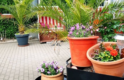 Ribnitz-Damgarten Apartment | Vacation in the townhouse "Villa Kunterbunt"