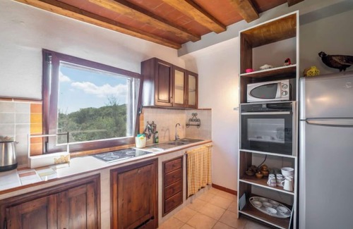 Castellina in Chianti House | Vacation home Olivo by Interhome