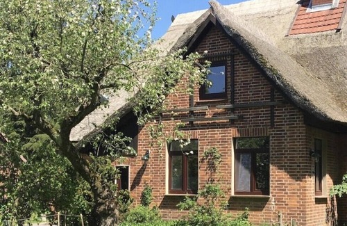 Kogel Apartment | Vacation under thatch - Forsthaus Kölzin near Zarrentin - Apartment Schaale