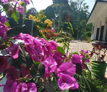 Vagamon Hotel | Vagamon 4 large family Rooms & 20 bunk beds apartment 812'983'5682