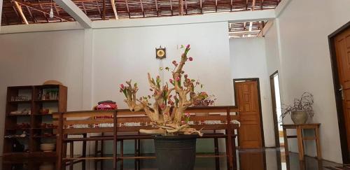 Nuhu Roa House | Vakantie Vila Wab