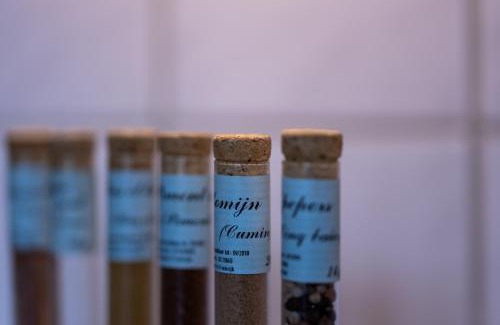 Assebroek House | Vakantiehuisje Amaryllis