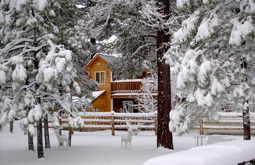 Bayfield Cabin | Vallecito Lake Cabin -