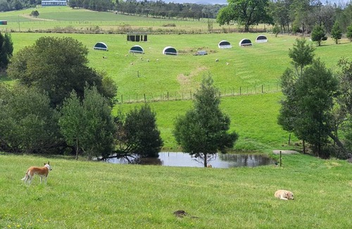 Knysna House | Valley Farm Stay