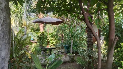 Pemuteran House | Van Santri Homestay Pemuteran
